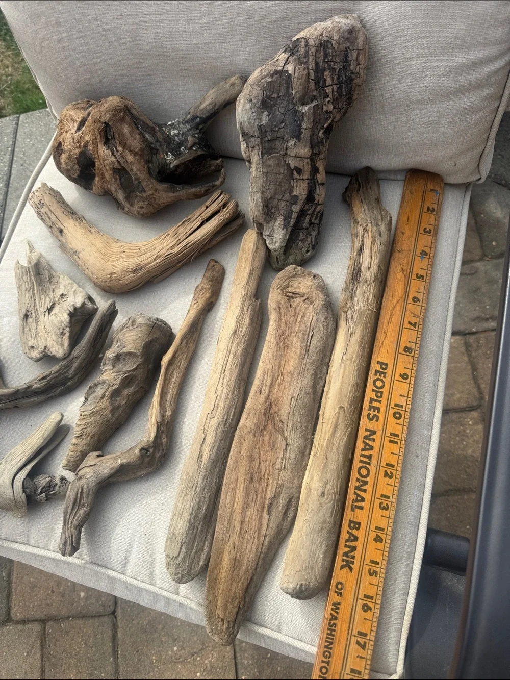 11 pc (5lbs shipped) Natural Driftwood Decorative Accent Pieces-craft & display